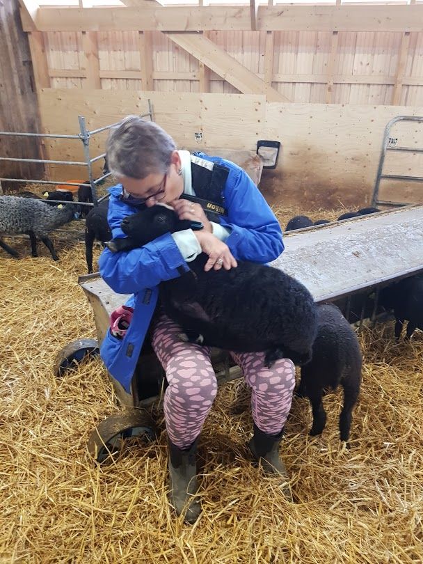 Att få umgås med fåren är det bästa så jag besöker fårstallet ofta och mest när man får gosa med lammen.